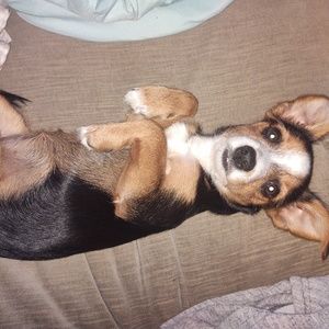 Meet your Posher, Derek